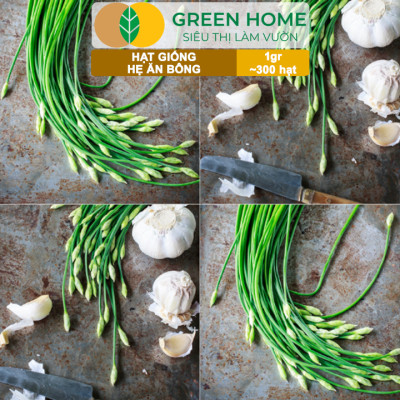 Hạt Giống Hẹ Ăn Bông GreenHome, Gói 1g~300 hạt, Nảy Mầm Đều, Giàu Dinh Dưỡng, Dễ Trồng Quanh Năm G20