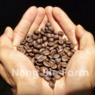 Cafe Robusta nguyên chất 100% rang mộc Sơn Lang Gia Lai gói 250g