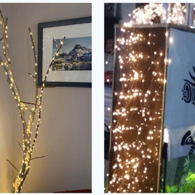 Dây đèn led đom đóm trang trí cắm điện chia nhánh 10 mét mỗi nhánh, không nháy, luôn sáng dây bóng đèn fairy light cao cấp, tinh tế decor phòng, quấn cây, chống nước dùng được ngoài trời ( Tùy chọn màu và chiều dài dây)