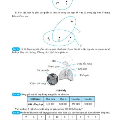 Sách - 500 Bài Tập Cơ Bản Và Nâng Cao Toán 6 - Dùng chung cho các bộ SGK hiện hành - ndbooks