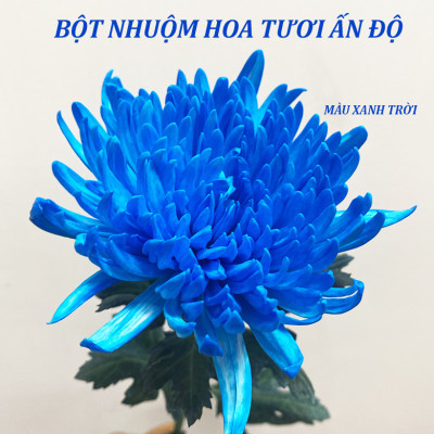 Thuốc Bột Nhuộm Hoa Tươi màu thực phẩm Ấn Độ (Combo 3 hộp tùy màu) giúp đổi màu hoa cắt cành (1 hủ pha 12L nước màu)