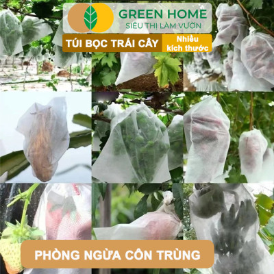 10 Túi Bọc Xoài GreenHome, 22.5x30cm, Có Nút Cài, Độ Bền 3-5 Năm, Nhiều Kích thước