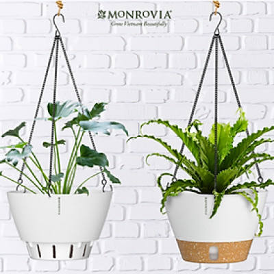 Chậu treo tự tưới MONROVIA cho cây trong nhà và ngoài trời decor không gian sống, có móc treo sắc