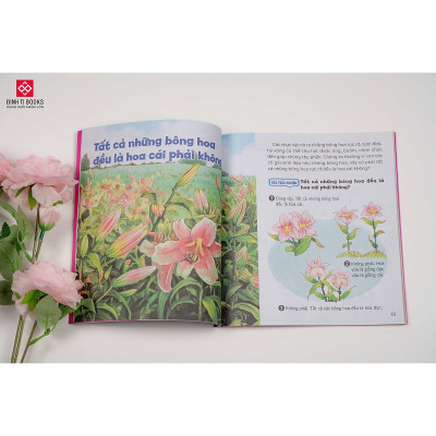 Sách - Wow, Thì Ra Là Thế - Đinh Tị Books