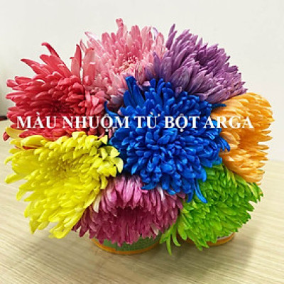 Thuốc Bột Nhuộm Hoa Tươi màu thực phẩm Ấn Độ (Combo 3 hộp tùy màu) giúp đổi màu hoa cắt cành (1 hủ pha 12L nước màu)