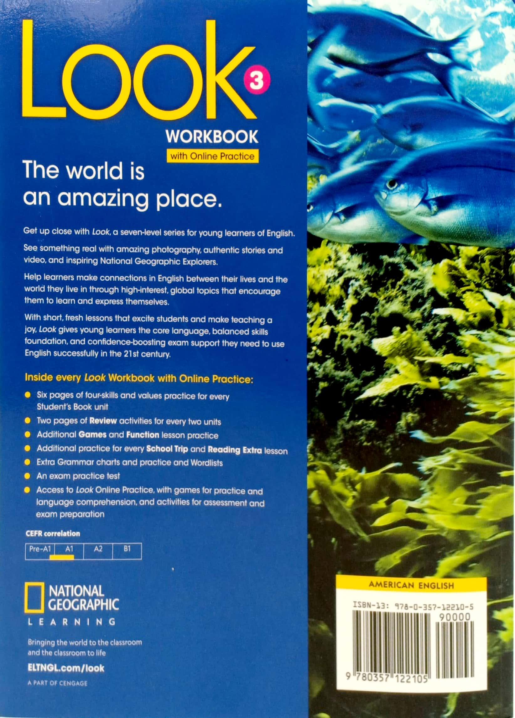 Look 3: Workbook With Online Practice