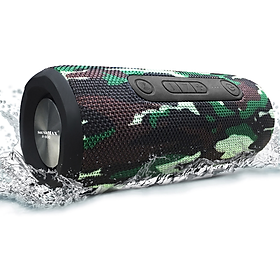 Loa Bluetooth SoundMax R-800 - Hàng Chính Hãng