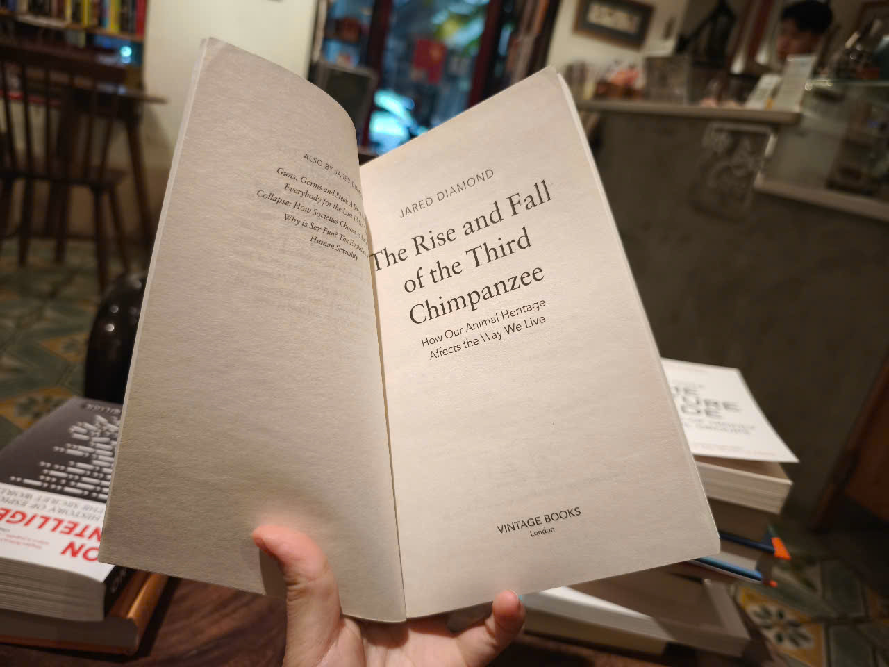 Sách - The Rise and Fall of the Third Chimpanzee by Jared Diamond - Science/ Nonfiction in English