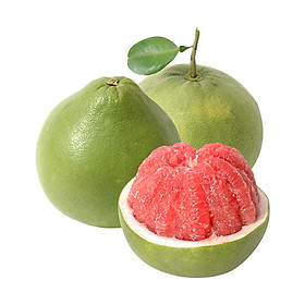 [Chỉ Giao HCM] - BƯỞI RUBY 1.4KG