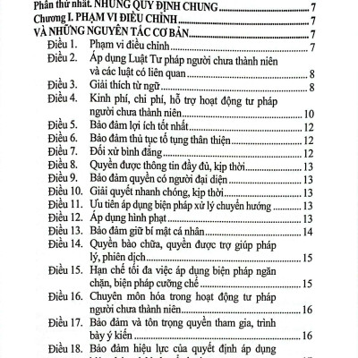 Sách - Luật Tư Pháp Người Chưa Thành Niên