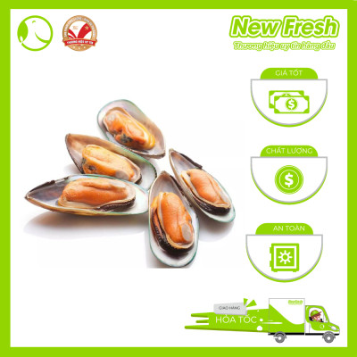[GIAO NHANH HCM]  Vẹm Xanh Newzealand Kono - Hộp 1Kg