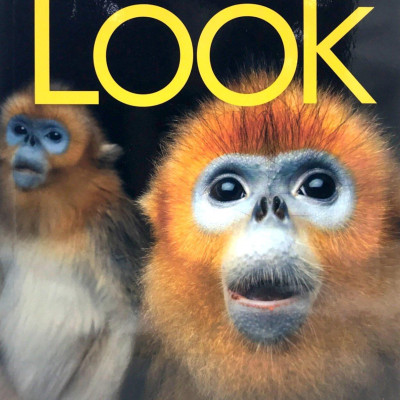 Look Starter (Look, American English) Student Book