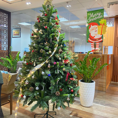 Cây thông noel 3 loại lá gắn trái thông - Cây thông đẹp Tán dày đều, cây thông chắc chắn và dể tháo lắp