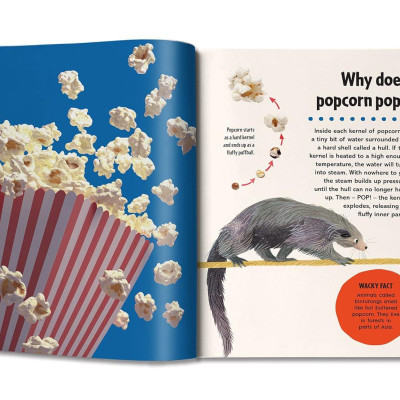 Britannica First Big Book Of Why