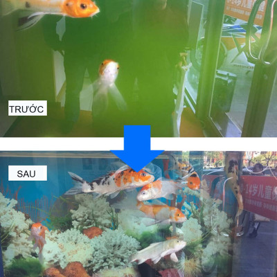 Đèn UV 100W AQUA SUV+ Diệt Khuẩn, Rêu Tảo Hồ Cá Koi , Xử Lý Nước Thải, Nước Sinh Hoạt Trong 7 Ngày