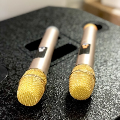 Loa kéo di động karaoke Rinton PL2-II 400W (có bình) - Hàng chính hãng