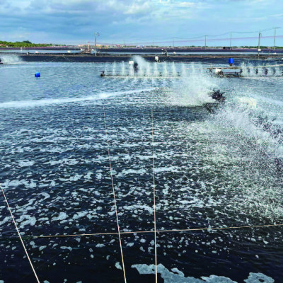 Vi sinh xử lý nước và đáy ao UNPARA ABI