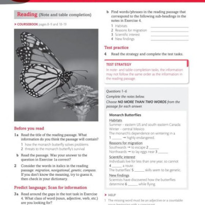 Expert IELTS 7.5 Student