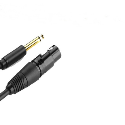 Cáp chuyển đổi Audio từ 6.5  Ugreen ra AV canon âm cho microphone, stereo, mixer, amplifier, camera environment  - Hàng Chính Hãng