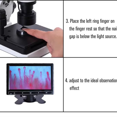 Kính hiển vi phân tích, soi mạch máu cao cấp Terino TX-10 (10X-800X) - Hàng chính hãng