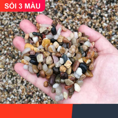 5KG Sỏi Suối 3 Màu (Size Nhỡ) | Trang Trí Bể Cá, Tiểu Cảnh, Non Bộ Đẹp, May Mắn!