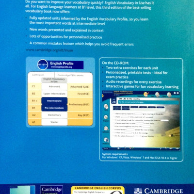 English Vocabulary in Use: Pre-Intermediate and Intermediate Book with Answers: Vocabulary Reference and Practice (Kèm CD)