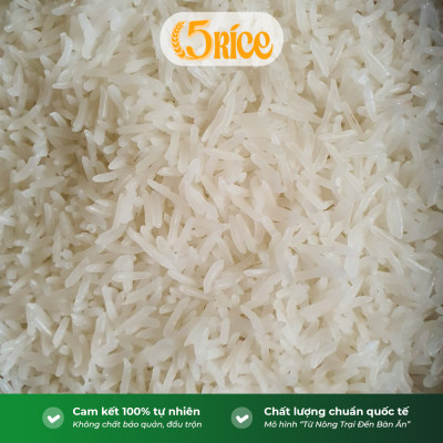 Gạo thơm nàng hoa lúa tôm 5RICE - túi 5KG - gạo thượng hạng, thơm dẻo, đậm vị chính hãng