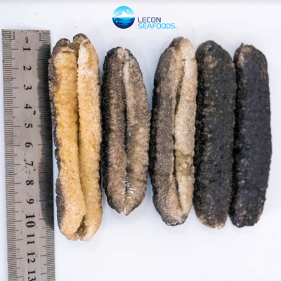 Hải Sâm Cát Sấy Khô