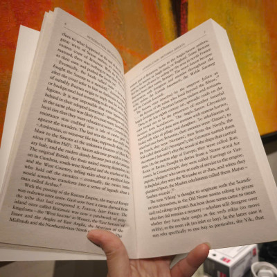 Sách - A Brief History of the Vikings: The Last Pagans or the First Modern Europeans? by Jonathan Clements