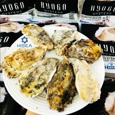 Hàu sữa Nhật Hyogo ( Size :6-8 con)   -   1kg