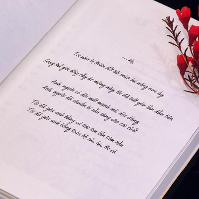 Sách - Nếu Gặp Lại Em Trên Ngọn Đồi Hoa Nở - AZ Việt Nam