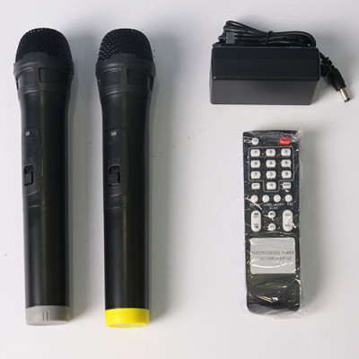 Loa kéo Hosan GD08-13 - Loa di động mini karaoke thùng gỗ tặng 2 micro nhẹ dễ hát - Hàng nhập khẩu