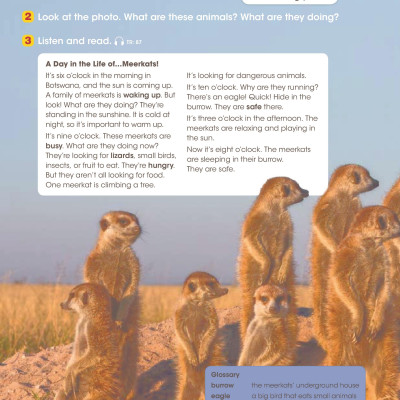 Look 3 Student Book (British English)