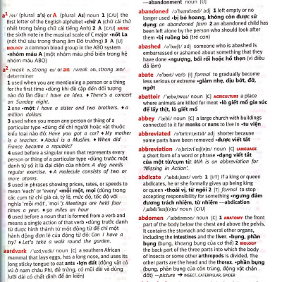 Macmillan School Dictionary