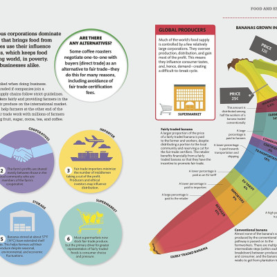How Food Works: The Facts Visually Explained (How Things Work)