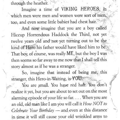 How to Train Your Dragon Book 6: A Hero