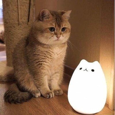 Đèn Ngủ Hình Mèo Con Siêu Dễ Thương - Chất liệu Silicon Dẻo Cao Cấp An Toàn DRU - Hàng Chính Hãng
