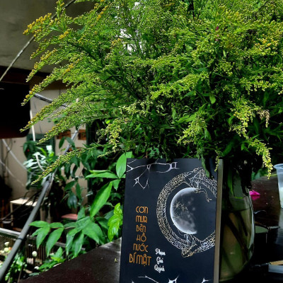 Cơn mưa bên hồ nước bí mật - Bản có chữ kí tác giả