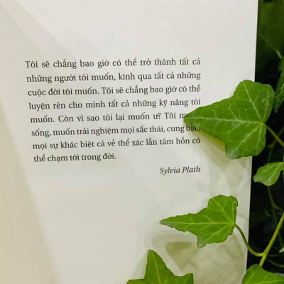 THƯ VIỆN NỬA ĐÊM (Bìa mềm)