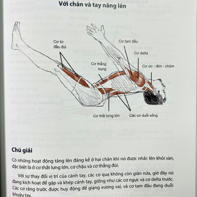 Giải phẫu học YOGA