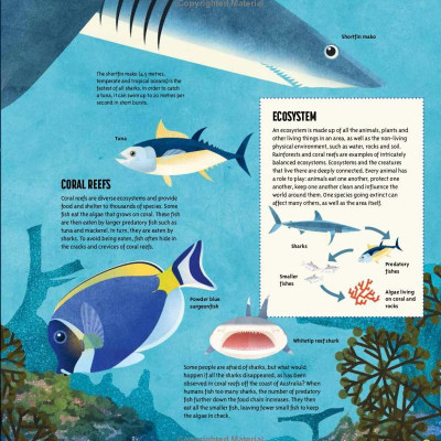 Amazing Animals: 100+ Creatures That Will Boggle Your Mind