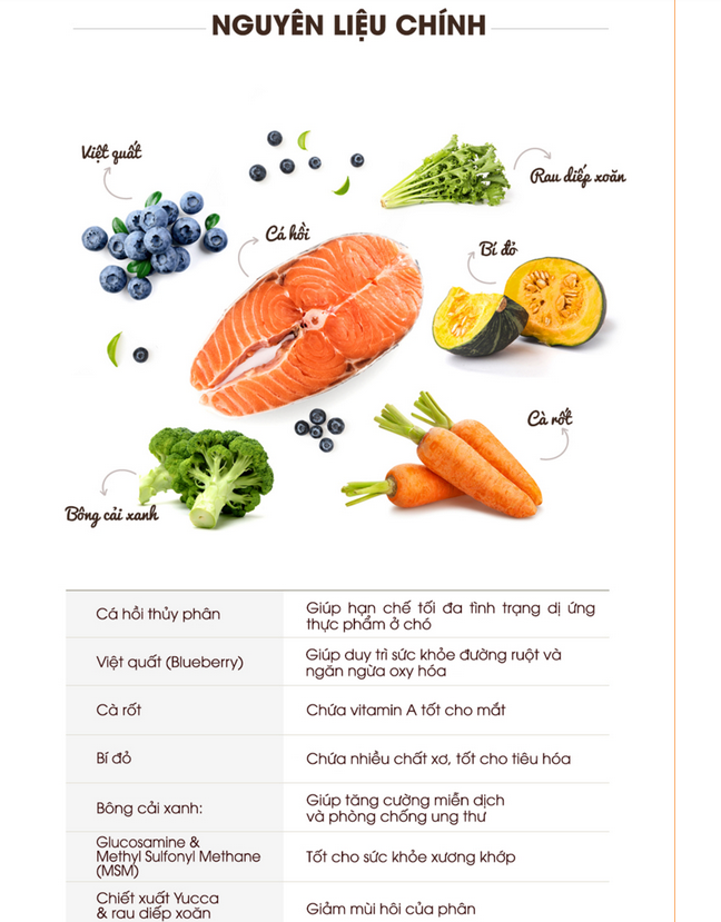 Hạt Mềm Chó Cao Cấp | Soft Balance | Giúp Đường Ruột Khỏe Mạnh | Túi 1,2kg (12 túi nhỏ 100g tiện dụng