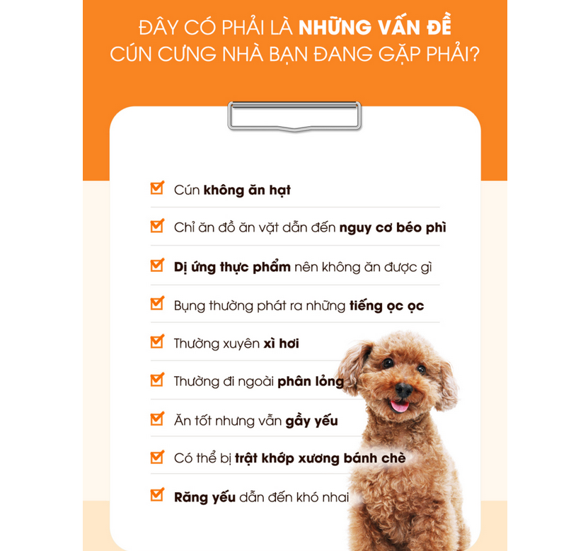 Hạt Mềm Chó Cao Cấp | Soft Balance | Giúp Đường Ruột Khỏe Mạnh | Túi 1,2kg (12 túi nhỏ 100g tiện dụng