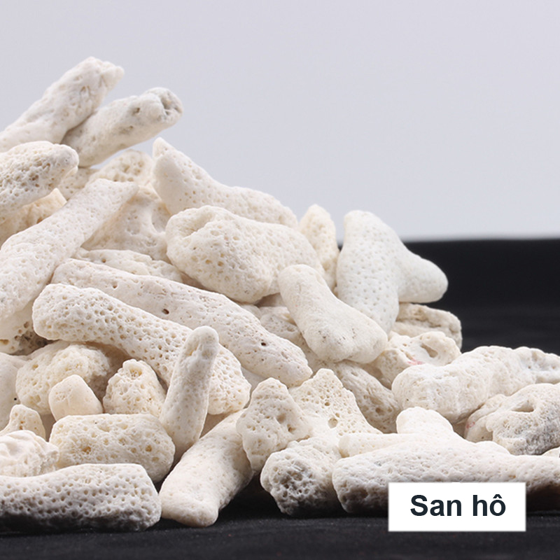 Bông Lọc + San Hô Vụn 1KG vật liệu lọc hồ cá, trang trí bể cá, hồ thủy sinh