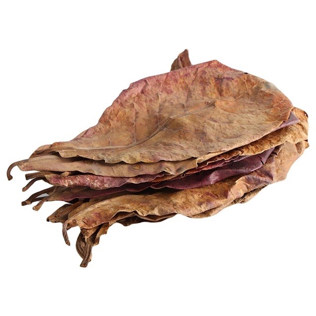 Lá bàng cho cá 0.5 kg