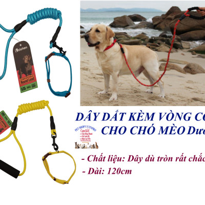 Dây dắt kèm vòng cổ cho Chó Mèo dưới 5kg Bản 1cm Chất liệu dây dù tròn, Hiệu Zichen bền đẹp, an toàn cho thú cưng