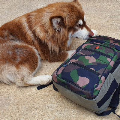 Balo LUGBRO GAMING EU LBV010CJ