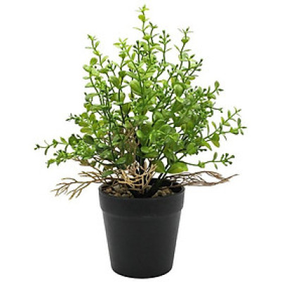 Chậu Cây Nhựa Trang Trí - WanLongDa 769-6