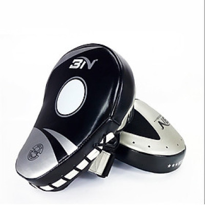 Cặp đích đấm BN chuyên nghiệp