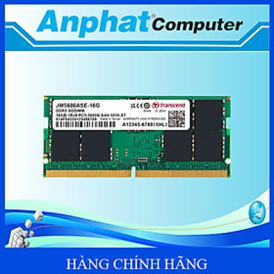 Bộ nhớ RAM Laptop Transcend 16GB/32GB JM DDR5 5600Mhz SO-DIMM CL46 1.1V – Hàng Chính Hãng